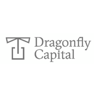 Dragonfly Capital Partners